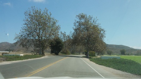 Enlarge photo 2