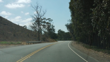 Enlarge photo 14