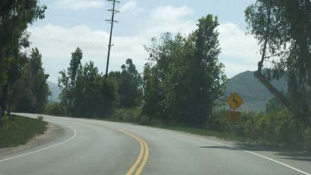 Enlarge photo 17