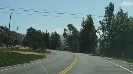 Enlarge photo 19