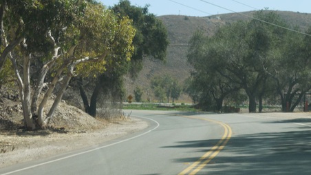 Enlarge photo 21