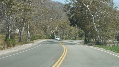 Enlarge photo 23