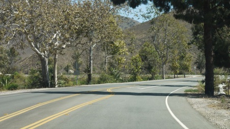 Enlarge photo 24