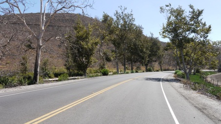 Enlarge photo 30