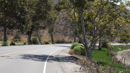Enlarge photo 32