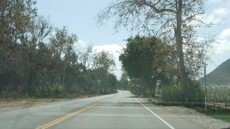 Enlarge photo 38
