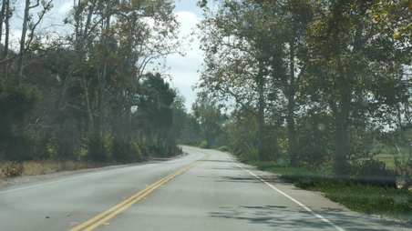 Enlarge photo 39