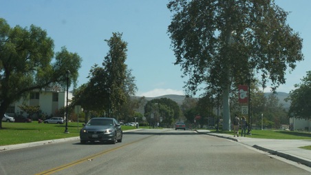 Enlarge photo 41