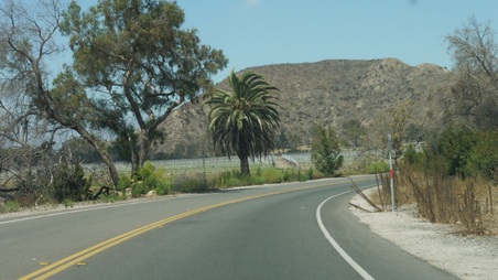 Enlarge photo 42