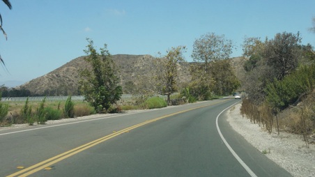 Enlarge photo 43