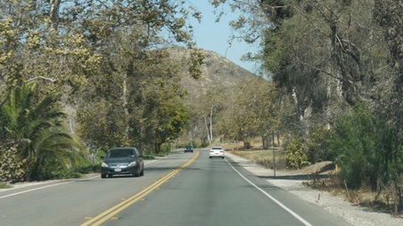 Enlarge photo 44