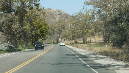 Enlarge photo 45