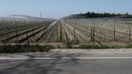 Enlarge photo 46