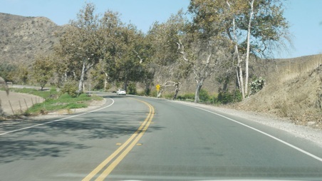 Enlarge photo 47