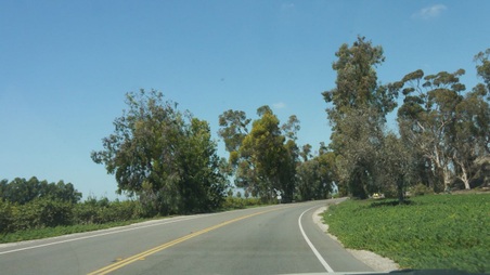 Enlarge photo 51