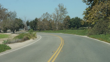 Enlarge photo 55