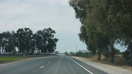 Enlarge photo 12