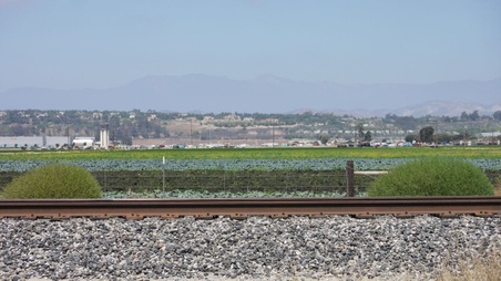 Enlarge photo 21