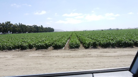Enlarge photo 24