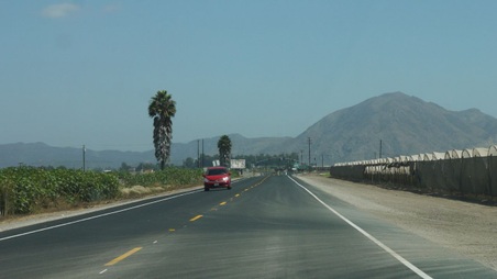 Enlarge photo 31
