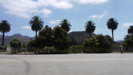Enlarge photo 17