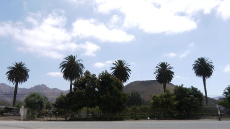 Enlarge photo 24
