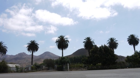 Enlarge photo 26