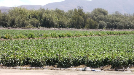 Enlarge photo 41