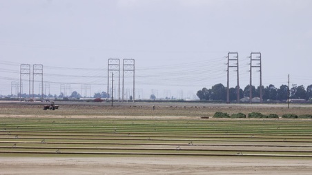 Enlarge photo 44