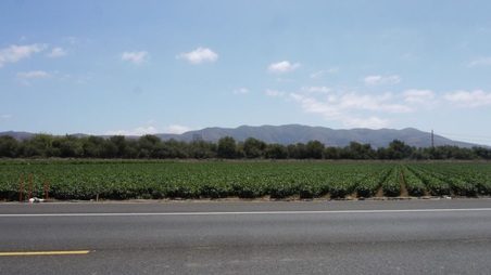 Enlarge photo 45