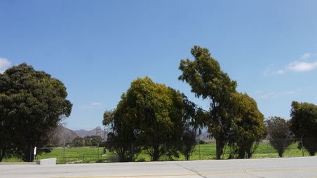 Enlarge photo 6