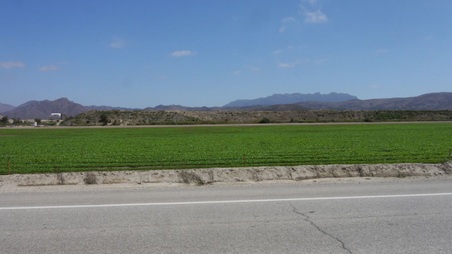 Enlarge photo 12