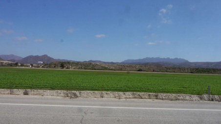 Enlarge photo 17