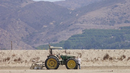 Enlarge photo 33