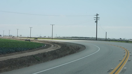 Enlarge photo 45