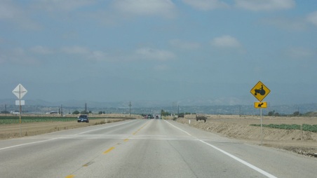 Enlarge photo 68