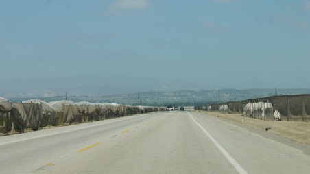 Enlarge photo 20