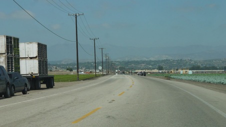 Enlarge photo 30