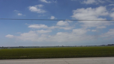 Enlarge photo 35
