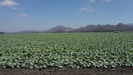 Enlarge photo 38