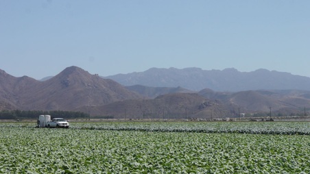 Enlarge photo 41