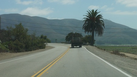 Enlarge photo 6