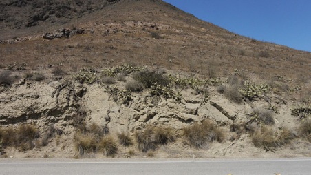 Enlarge photo 22