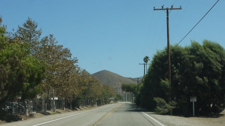 Enlarge photo 36