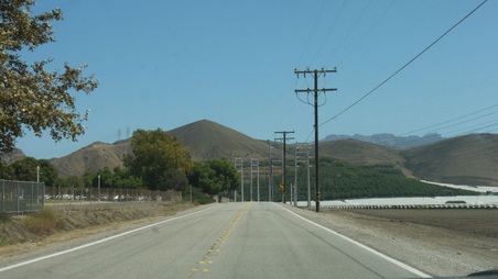 Enlarge photo 37