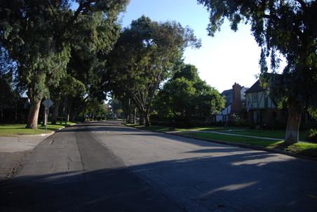 Country Club Drive
