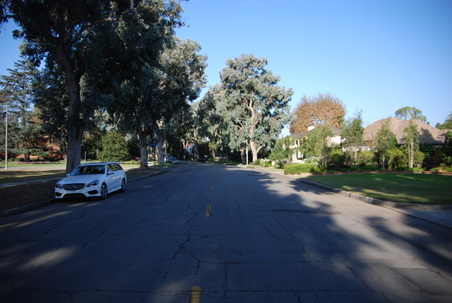 Enlarge photo 36