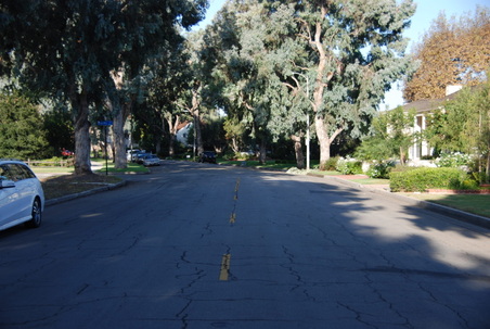 Enlarge photo 37