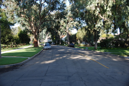 Enlarge photo 43