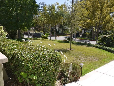 Enlarge photo 21